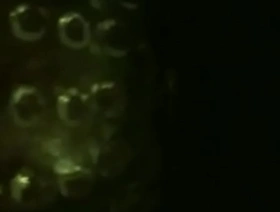 亚洲同性恋抚摸他的公鸡 porn hub gay chinese